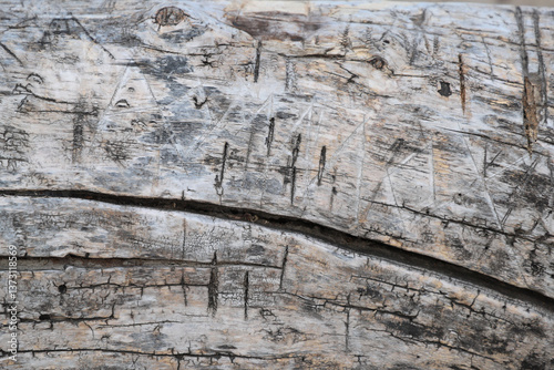 old wooden background with cracks and nicks