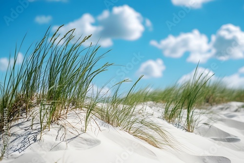 Field of tall grass is on a beach with a clear blue sky. The grass is swaying in the wind, creating a sense of movement and energy. The beach is empty, giving the scene a peaceful