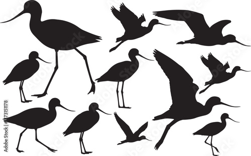 American Avocet Silhouette