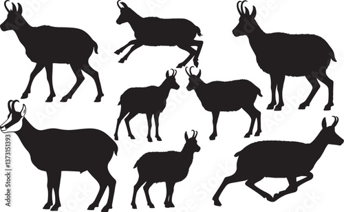 Chamois Silhouette