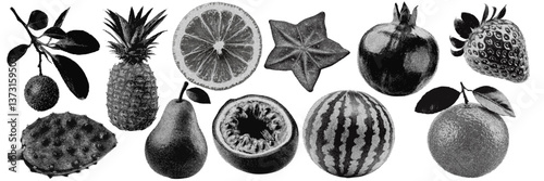 Set of fruit halftone grunge vector design elements