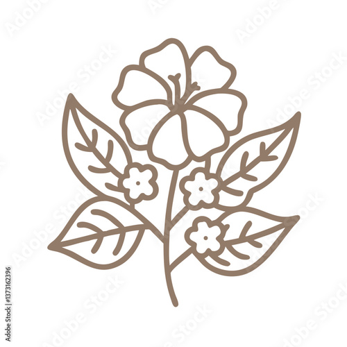 Balsam Flower Line Art Illustration