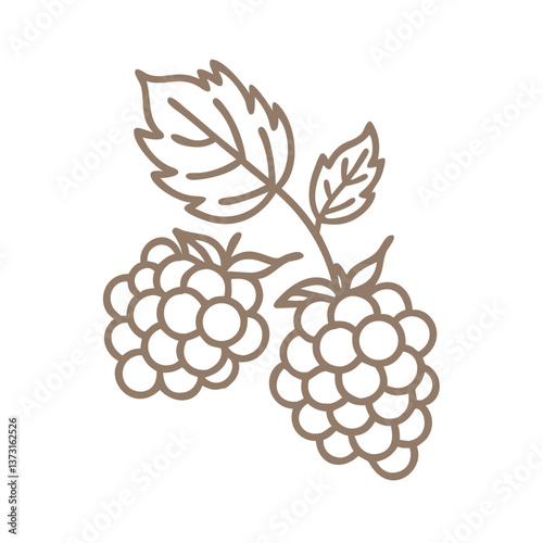 Elegant Bramble Berry Outline Illustration