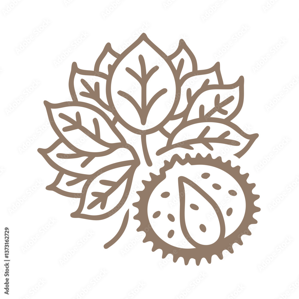 Obraz premium Minimalist Chestnut Tree Branch with Fruit