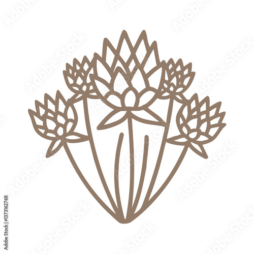 Chives Flower Outline Illustration, Allium Schoenoprasum