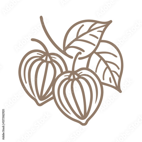 Minimalist Winter Cherry Line Art Illustration