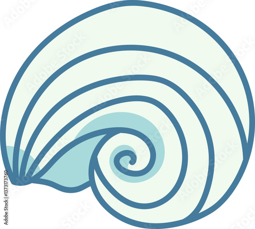 Nautilus Shell Drawing