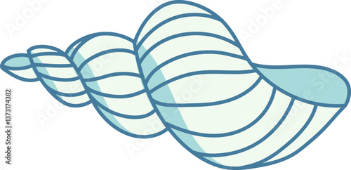 Spiral Seashell Drawing