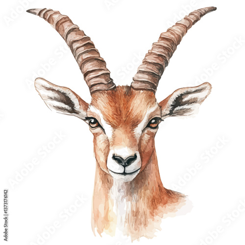 A watercolor vector of a topi, isolated on a white background. Topi vector.

