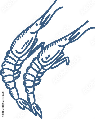 Hand-Drawn Shrimp Duo