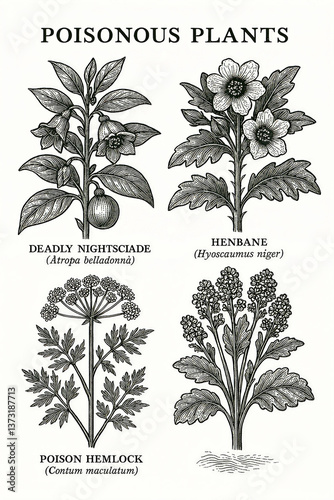 set of vector floral elements