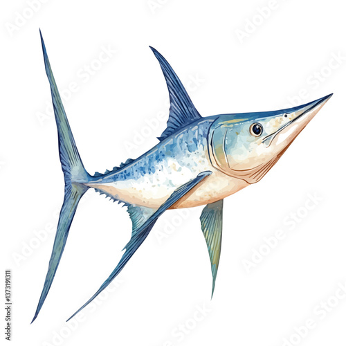 A watercolor vector of a swordfish, isolated on a white background. Swordfish vector.

