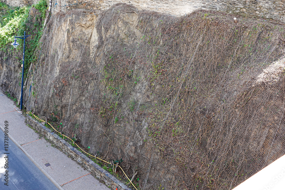 A hillside shows a protective wire mesh covering to prevent soil erosion.