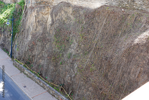 Obraz na płótnie A hillside shows a protective wire mesh covering to prevent soil erosion. w salonie