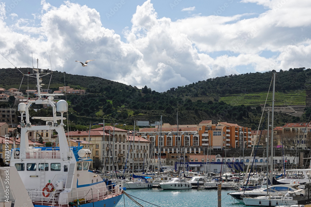 A lively harbor filled with various sailboats and yachts, surrounded by charming buildings and lush green hills, Port-Vendres, Occitanie, France