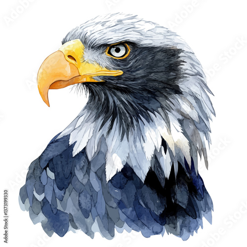 A watercolor vector of a Steller's sea eagle, isolated on a white background. Steller's sea eagle vector.

