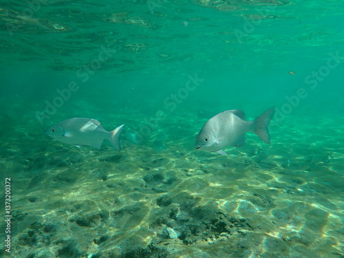 Underwater in Mexico
