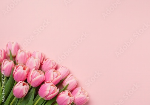 Elegant bunch of pink tulips arranged diagonally creates a fresh, springtime feel on pastel pink.