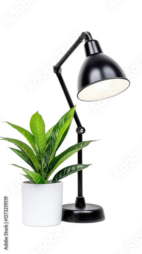Modern Desk Lamp and Potted Plant on a White Background