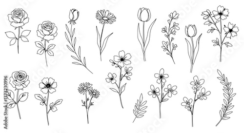 Delicate Blooms: An exquisite collection of intricate line drawings showcasing a variety of beautiful flowers. The simple elegance of each blossom offers a sense of grace.