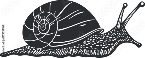 Black and white snail vector illustration for nature and wildlife designs.