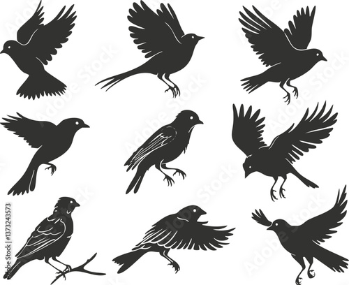 Silhouette illustrations of birds in various flying poses, showcasing avian grace and motion.