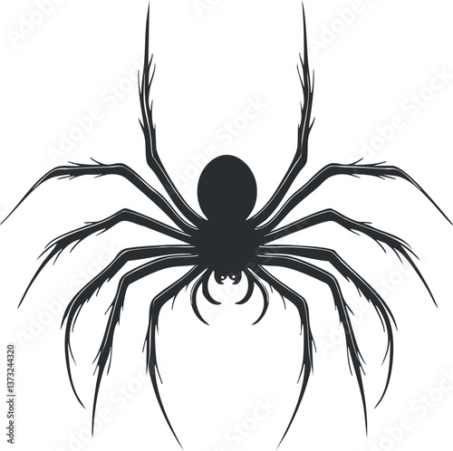 Black silhouette of a spider with detailed legs, ideal for Halloween or nature-themed designs.