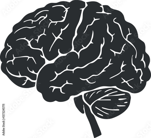 Black and white illustrated diagram of a human brain highlighting cerebral and cerebellar regions.