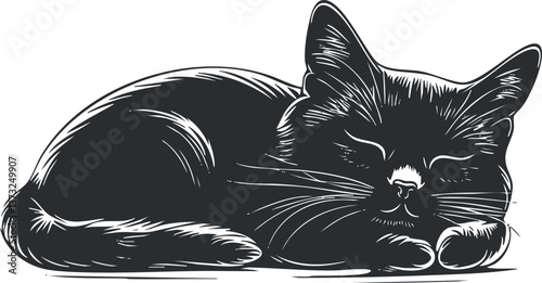 Illustration of a sleeping black cat with closed eyes and relaxed posture in minimalist style.