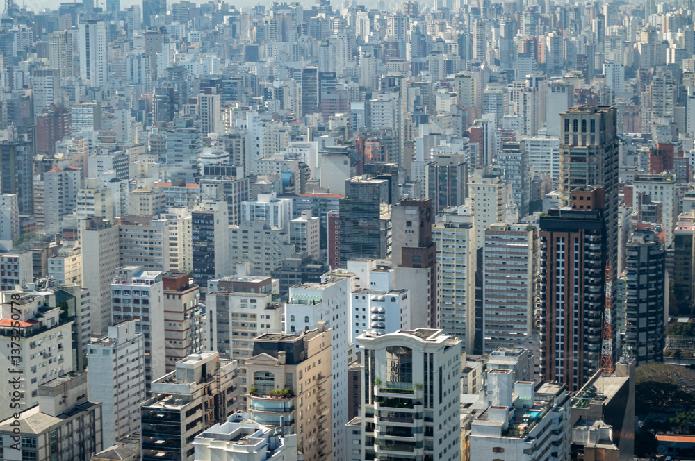 Fototapeta premium são paulo city