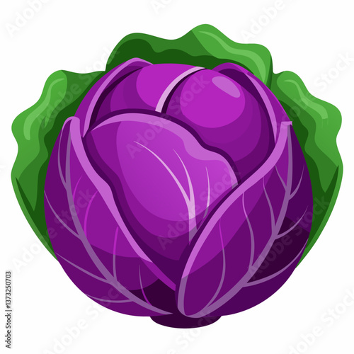 Purple cabbage resting on a clean white background, showcasing its vibrant color and textured leaves.