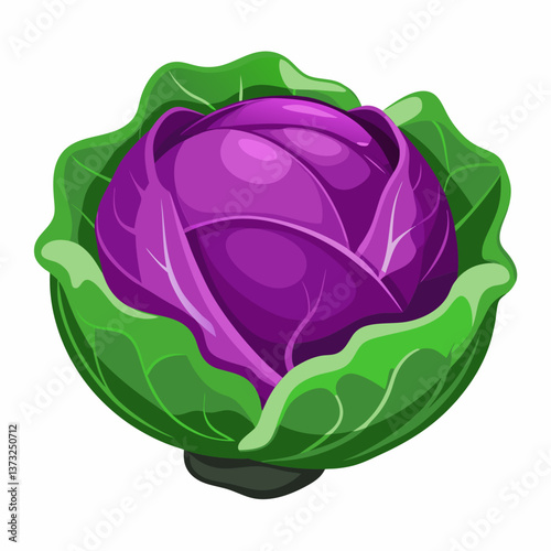 Purple cabbage resting on a clean white background, showcasing its vibrant color and textured leaves.