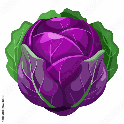 Purple cabbage resting on a clean white background, showcasing its vibrant color and textured leaves.