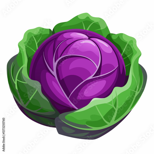 Purple cabbage resting on a clean white background, showcasing its vibrant color and textured leaves.