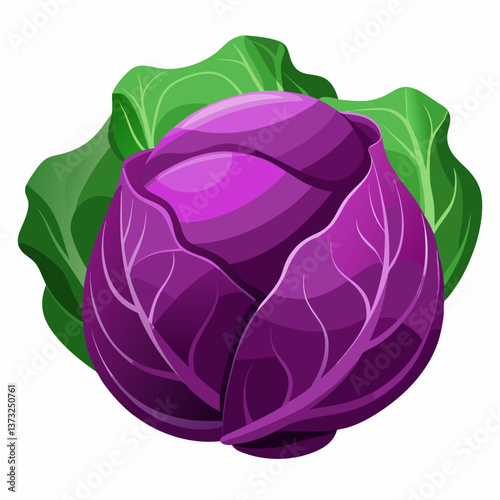 Purple cabbage resting on a clean white background, showcasing its vibrant color and textured leaves.
