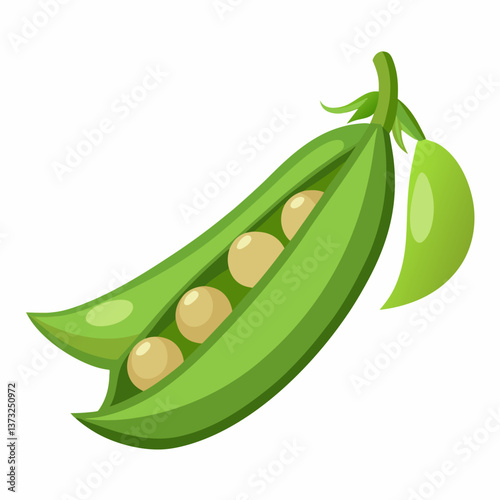 A green pea pod