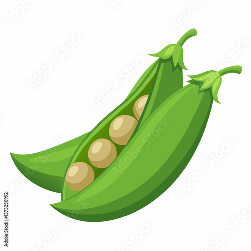 A green pea pod