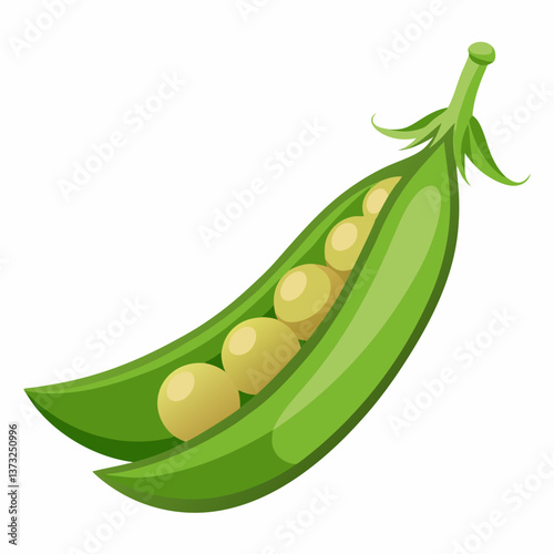 A green pea pod