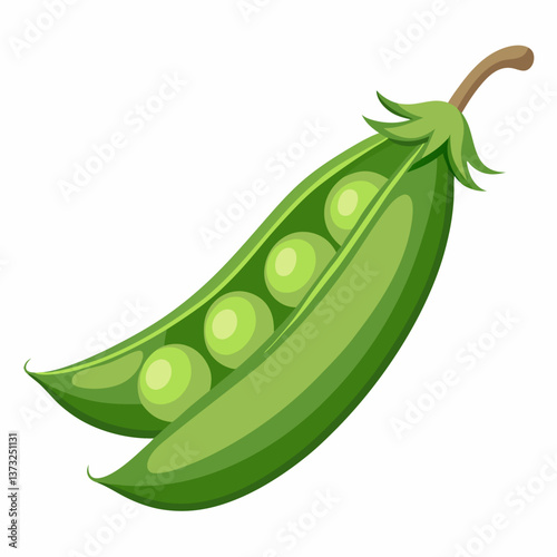 A green pea pod
