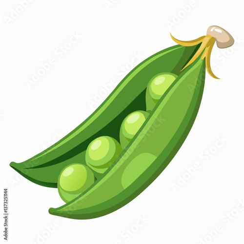 A green pea pod