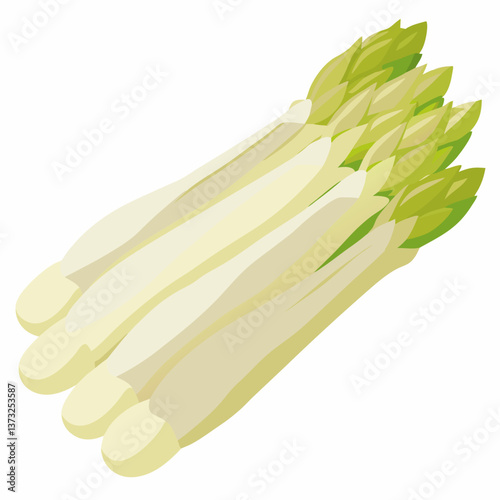 Vector illustration of asparagus, depicted in green, isolated on a white background, showcasing its elongated shape and texture.