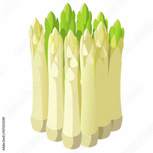 Vector illustration of asparagus, depicted in green, isolated on a white background, showcasing its elongated shape and texture.