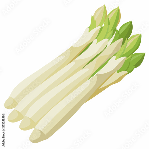 Vector illustration of asparagus, depicted in green, isolated on a white background, showcasing its elongated shape and texture.