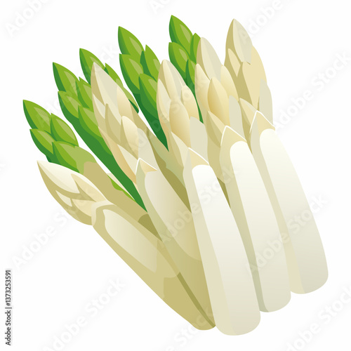Vector illustration of asparagus, depicted in green, isolated on a white background, showcasing its elongated shape and texture.