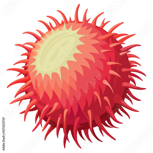 Red rambutan fruit resting on a clean white background, showcasing its spiky exterior and vibrant color.