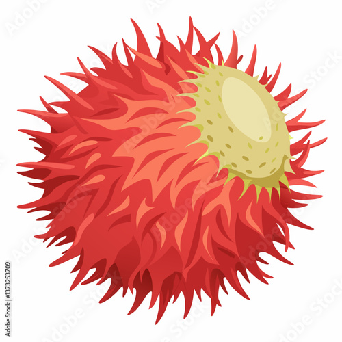 Red rambutan fruit resting on a clean white background, showcasing its spiky exterior and vibrant color.