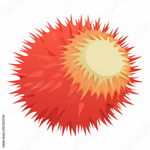 Red rambutan fruit resting on a clean white background, showcasing its spiky exterior and vibrant color.