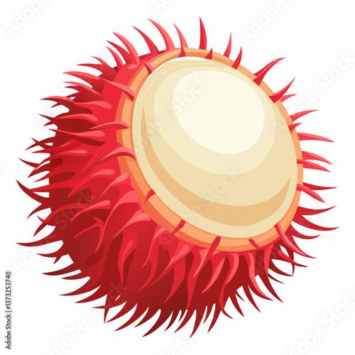 Red rambutan fruit resting on a clean white background, showcasing its spiky exterior and vibrant color.