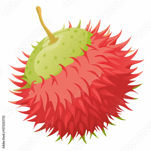 Red rambutan fruit resting on a clean white background, showcasing its spiky exterior and vibrant color.