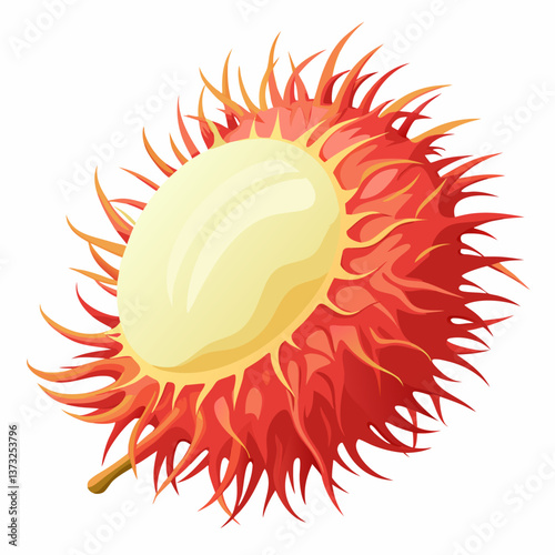 Red rambutan fruit resting on a clean white background, showcasing its spiky exterior and vibrant color.